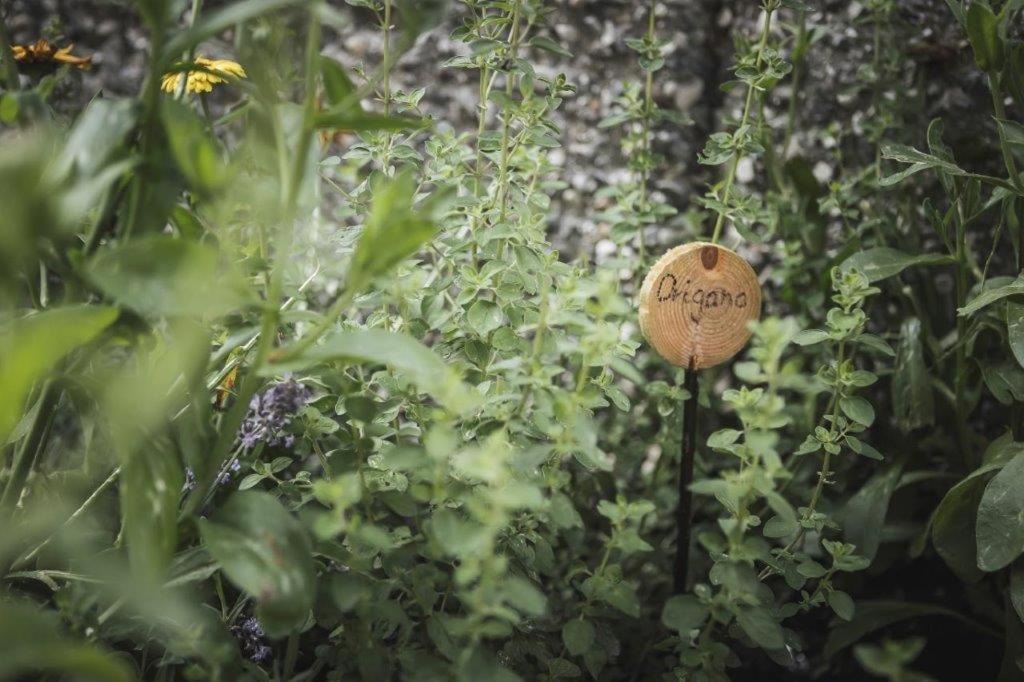 Ahrn Natur Apartment Lutago Dış mekan fotoğraf